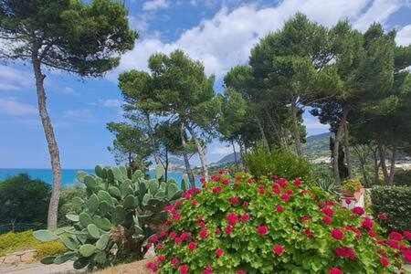 Cavallino Sea House Cefalù Buitenkant foto